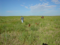 DSC01810.JPG