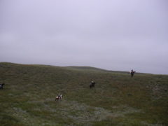SANY0008.JPG
