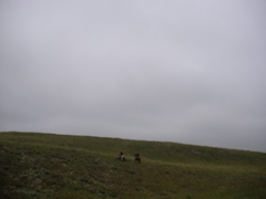 SANY0011.JPG