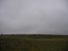 SANY0013.JPG