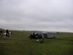 SANY0020.JPG