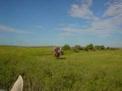 DSC01812.JPG