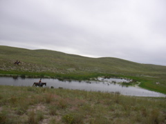 SANY0027.JPG