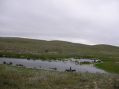 SANY0028.JPG