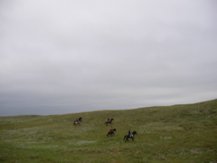 SANY0030.JPG