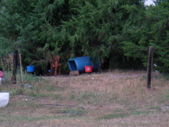 SANY0059.JPG