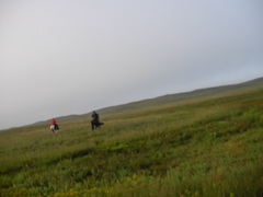 SANY0068.JPG