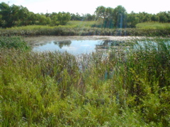 DSC01816.JPG