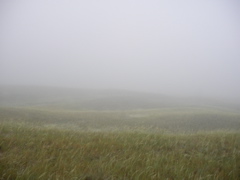 SANY0074.JPG