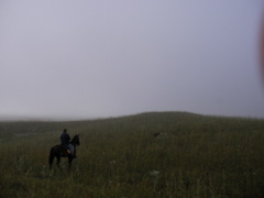SANY0076.JPG