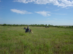 DSC01821.JPG