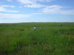 DSC01822.JPG