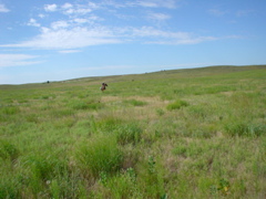 DSC01824.JPG
