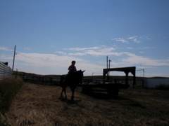 SANY0017.JPG