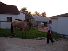SANY0002.JPG