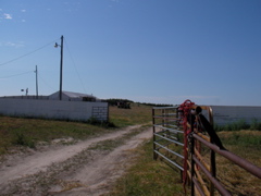 SANY0023.JPG
