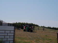 SANY0024.JPG