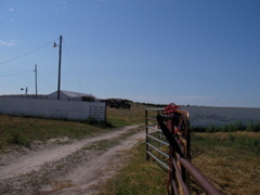 SANY0026.JPG