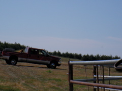 SANY0027.JPG
