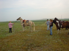 DSC01826.JPG