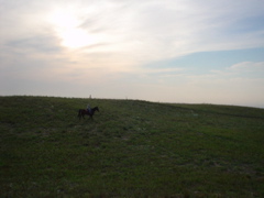 DSC01829.JPG