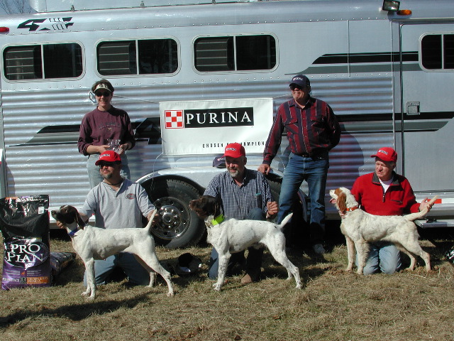 Waterford Shooting Dog Classic