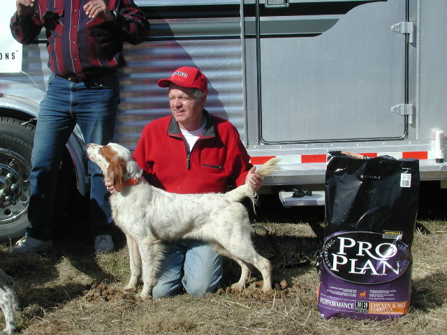 Waterford Shooting Dog Classic