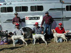 Waterford Shooting Dog Classic