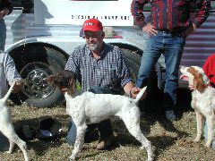Waterford Shooting Dog Classic