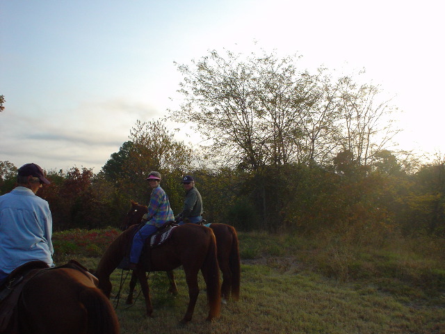 DSC00456.JPG