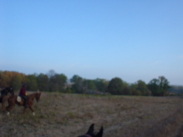 DSC00466.JPG