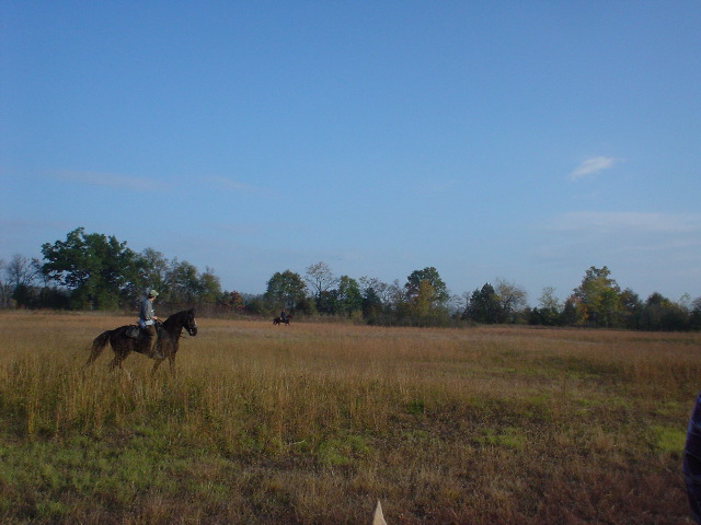 DSC00476.JPG