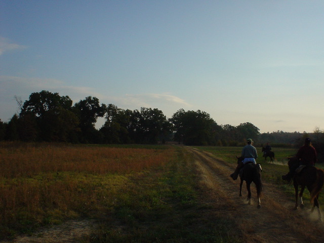 DSC00478.JPG