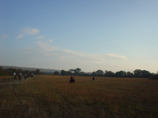 DSC00482.JPG
