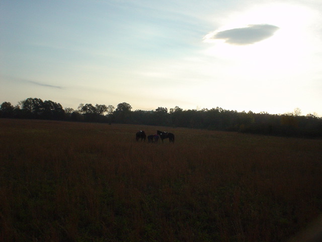 DSC00483.JPG