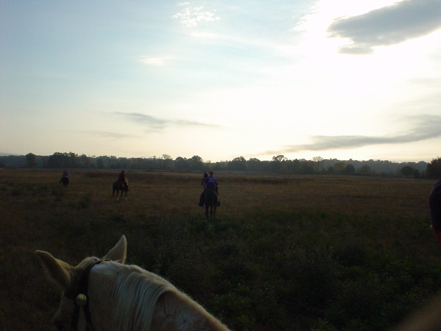 DSC00486.JPG