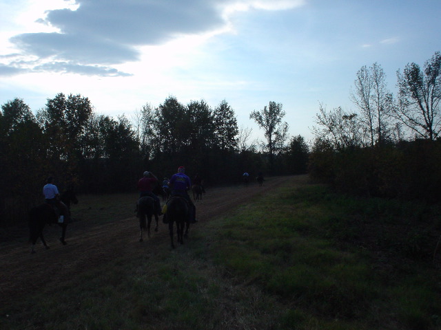 DSC00494.JPG