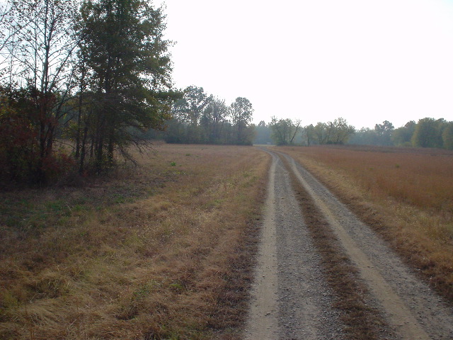 DSC00502.JPG