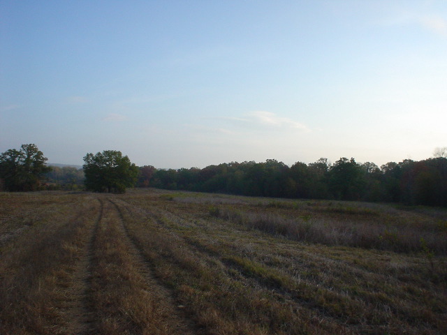 DSC00465.JPG