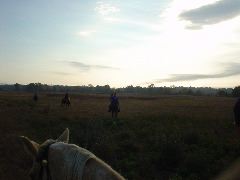 DSC00486.JPG