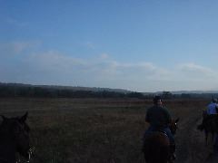DSC00487.JPG