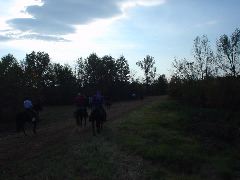 DSC00494.JPG