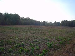 DSC00500.JPG