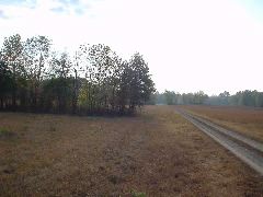 DSC00501.JPG
