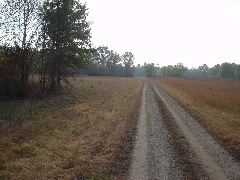 DSC00502.JPG
