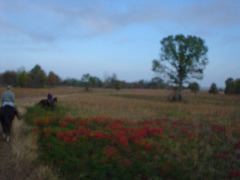 DSC00462.JPG