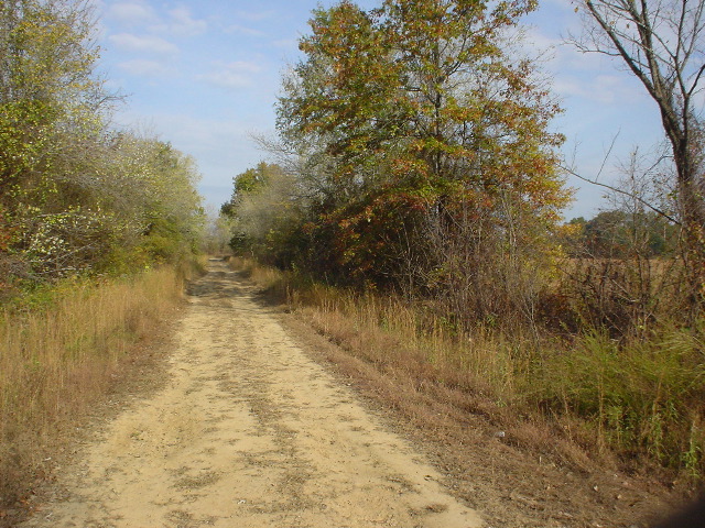 DSC00515.JPG