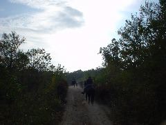 DSC00503.JPG