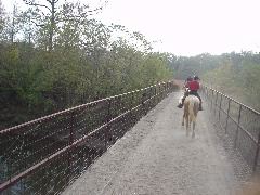 DSC00504.JPG