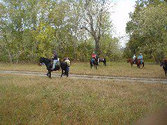 DSC00506.JPG